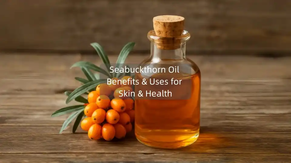 Seabuckthorn Oil Guide: Uses, Benefits, and More